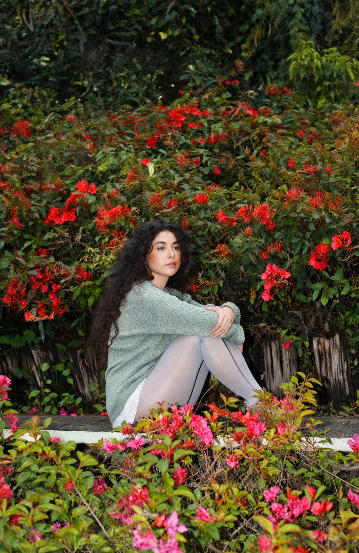 【entity-Silvana Estrada¦canonical_name=SILVANA ESTRADA】 3